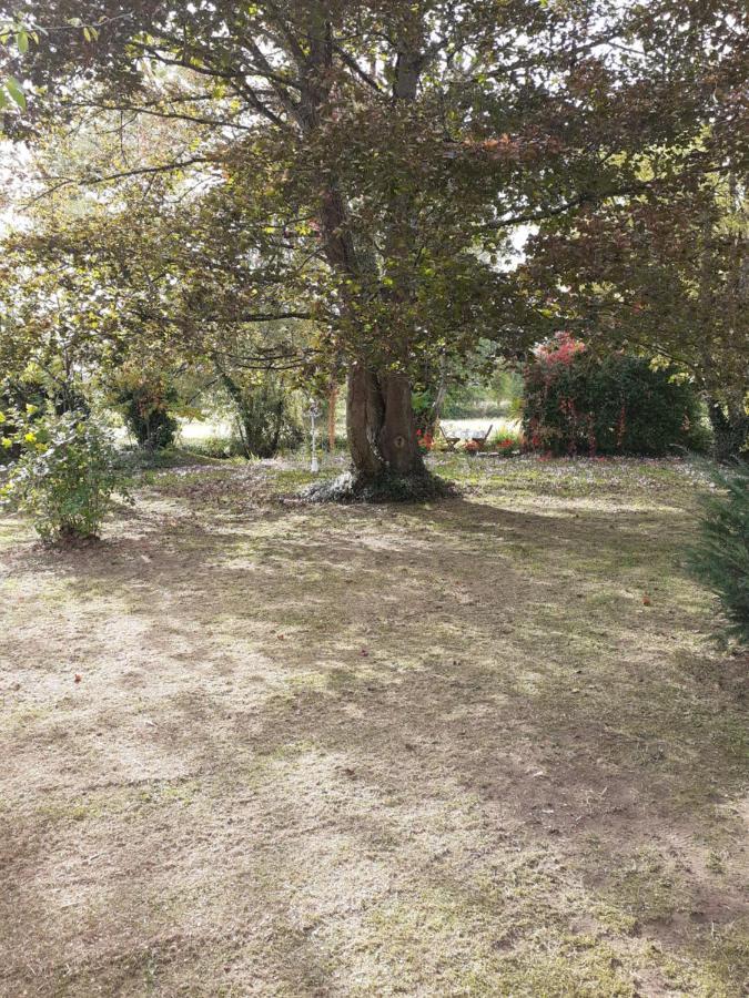 Gite " Jardin Peyrona" Visite Zoo Beauval Et Chateaux De Loire Beaulieu-lès-Loches Eksteriør billede